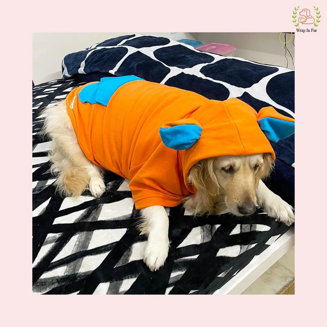 buy orange pokki hoodie for small dog