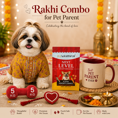 Premium Raksha Bandhan Dog Gift Combo