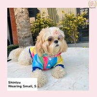 Prism Glow Dog Hoodie – Soft & Colorful Wear