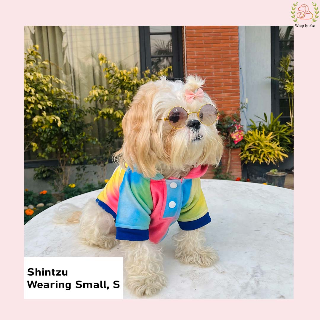 Prism Glow Dog Hoodie – Soft & Colorful Wear