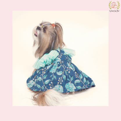 Blue Pari Dog Frock