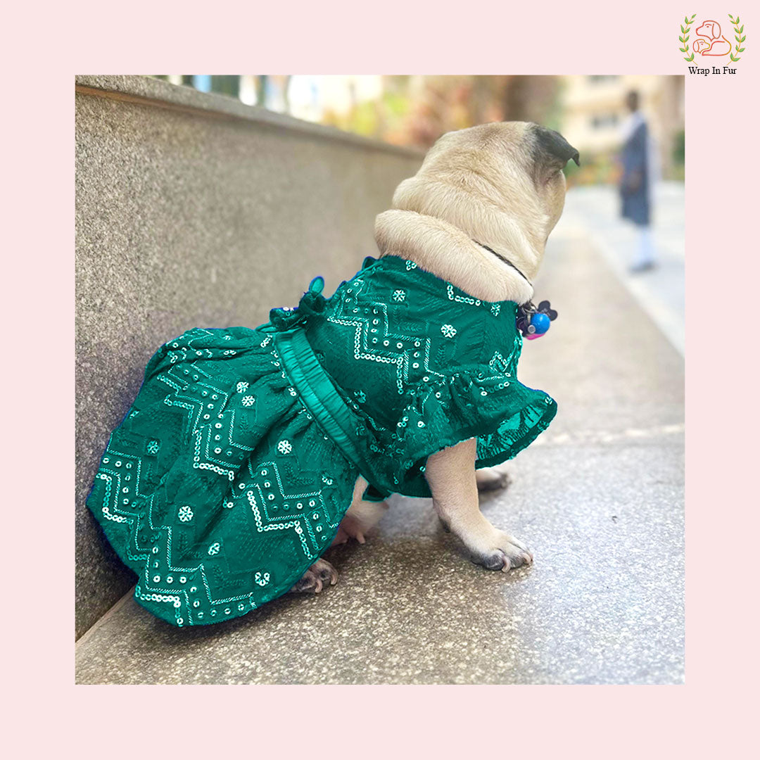 Pug Dog Green Golden Lehenga Choli