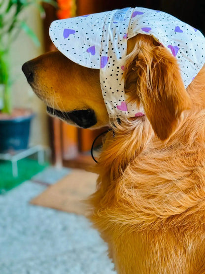 Purple Heart dog Cap for beagle