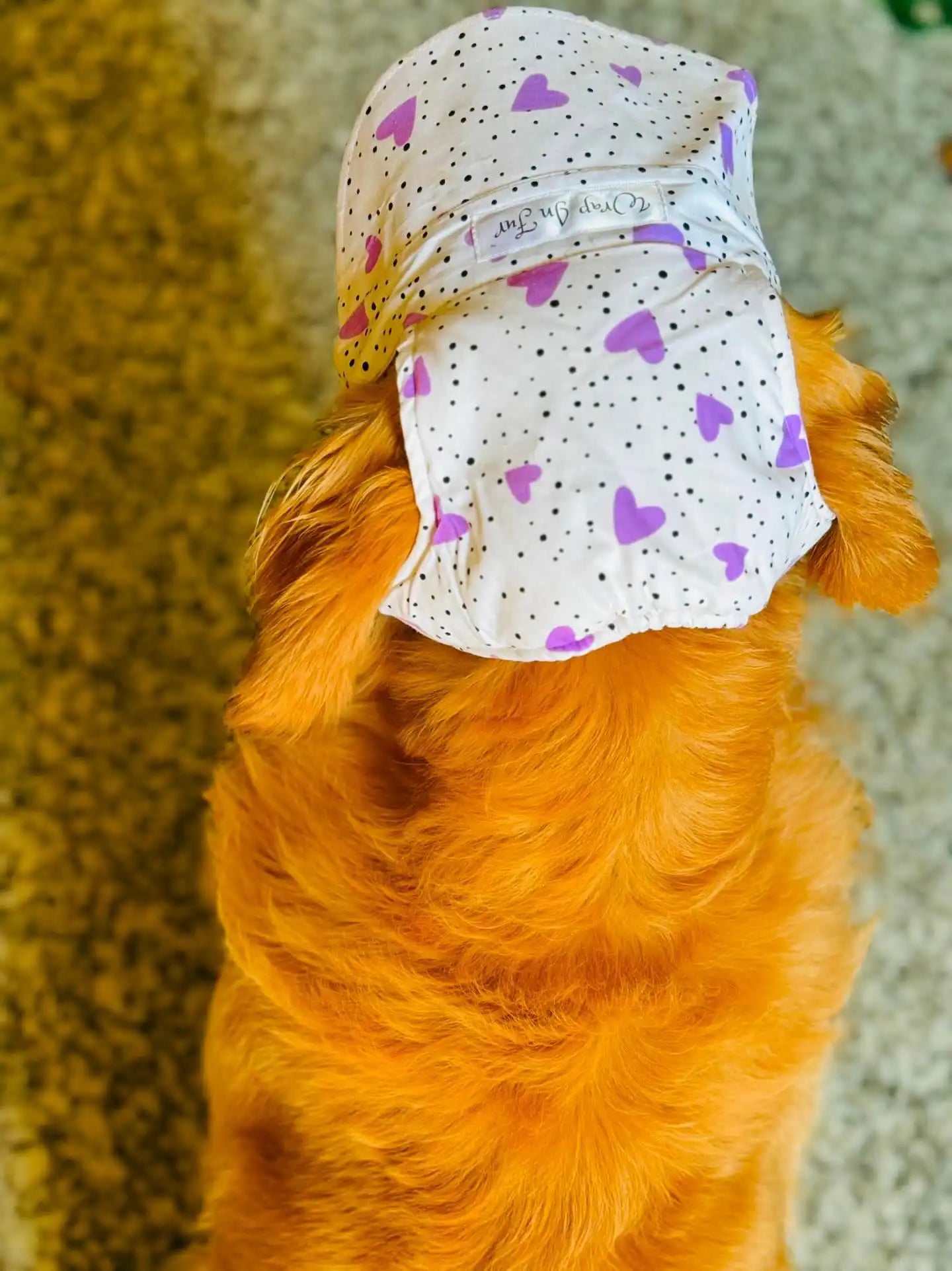 Purple Heart dog Cap for shih tzu