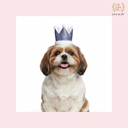 Purple Birthday Crown for Dogs – Party Hat & Celebration Accessory