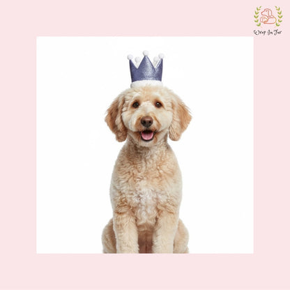 Purple Birthday Crown for Dogs – Party Hat & Celebration Accessory