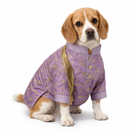 Purple Embroidered Dog Kurta
