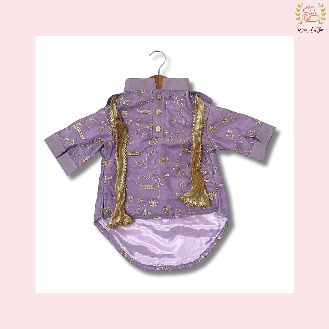 Purple Embroidered Dog Kurta - Royal Indian Dog Ethnic Wear Dress