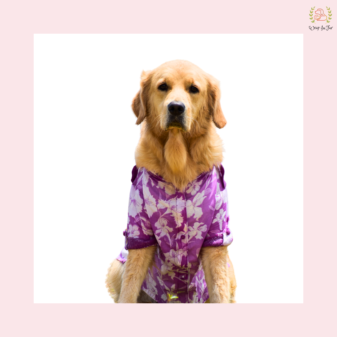 Purple Floral Pathani Dog Kurta - Premium Indian Dog Ethnic Wear
