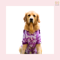 Purple Floral Pathani Dog Kurta - Premium Indian Dog Ethnic Wear