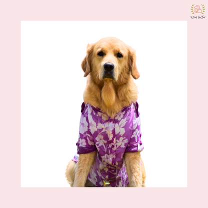 Purple Floral Pathani Dog Kurta - Premium Indian Dog Ethnic Wear