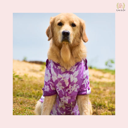 Purple Floral Pathani Dog Kurta - Premium Indian Dog Ethnic Wear