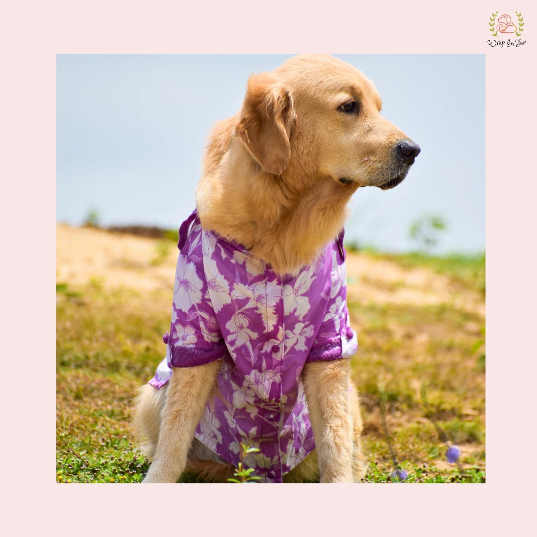 Purple Floral Pathani Dog Kurta - Premium Indian Dog Ethnic Wear