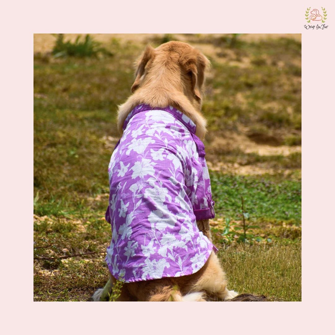 Purple Floral Pathani Dog Kurta - Premium Indian Dog Ethnic Wear