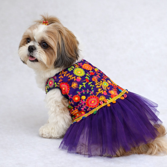 Dog Clothes Female Shih Tzu Dress Buy Orange Shih Tzu Female Dog Birthday Dress Online Pawgy Dog Clothes Female Shih Tzu Dress Buy Orange Shih Tzu Female Dog Birthday Dress Online Pawgy