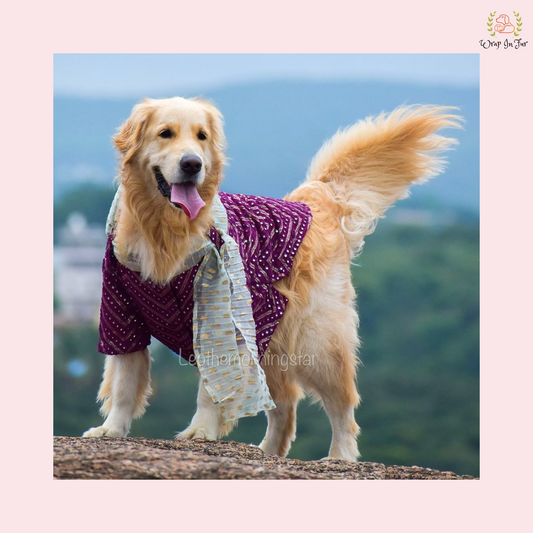 Purple & Gold Chevron Dog Kurta Set with Dupatta - Indian Dog Ethnic Wear