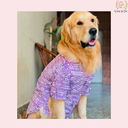 
Purple Mirror-Work Dog Kurta - Royal Indian Dog Ethnic Wear
