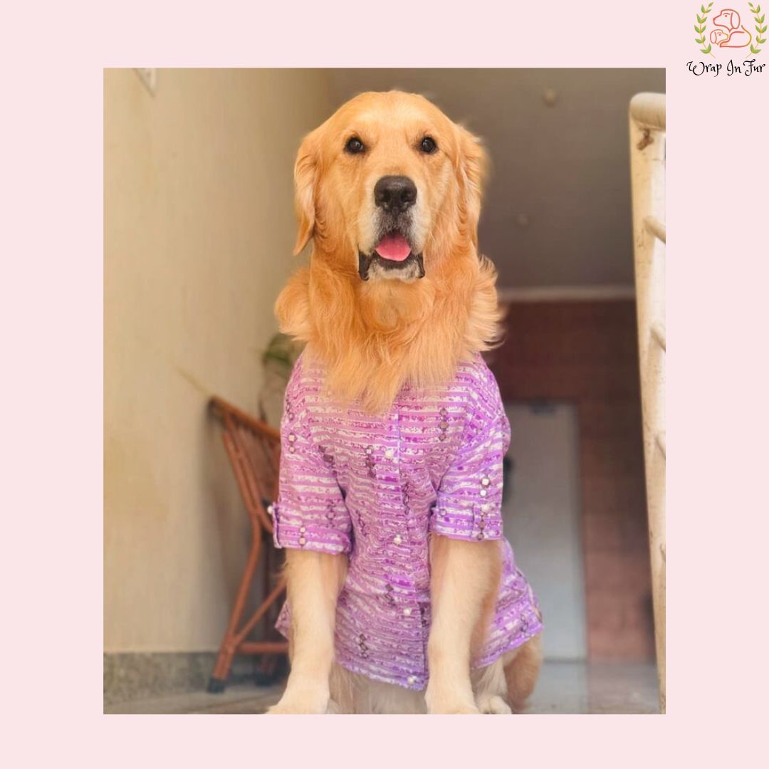 
Purple Mirror-Work Dog Kurta - Royal Indian Dog Ethnic Wear
