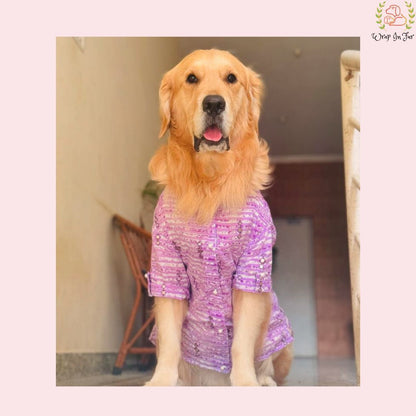 
Purple Mirror-Work Dog Kurta - Royal Indian Dog Ethnic Wear
