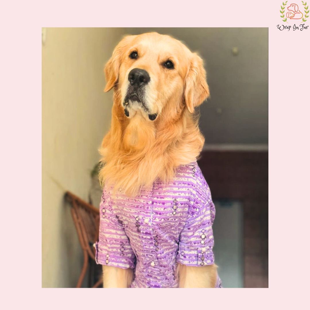 
Purple Mirror-Work Dog Kurta - Royal Indian Dog Ethnic Wear
