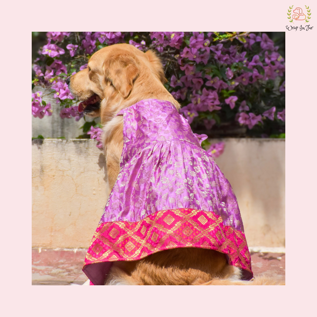 Purple Pink Dog Wedding Dress – Royal Bridal Outfit for Dogs