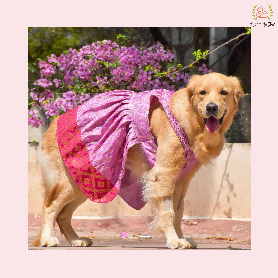 Purple Pink Dog Wedding Dress – Royal Bridal Outfit for Dogs