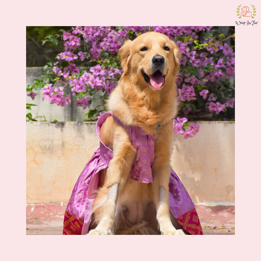 Purple Pink Dog Wedding Dress – Royal Bridal Outfit for Dogs