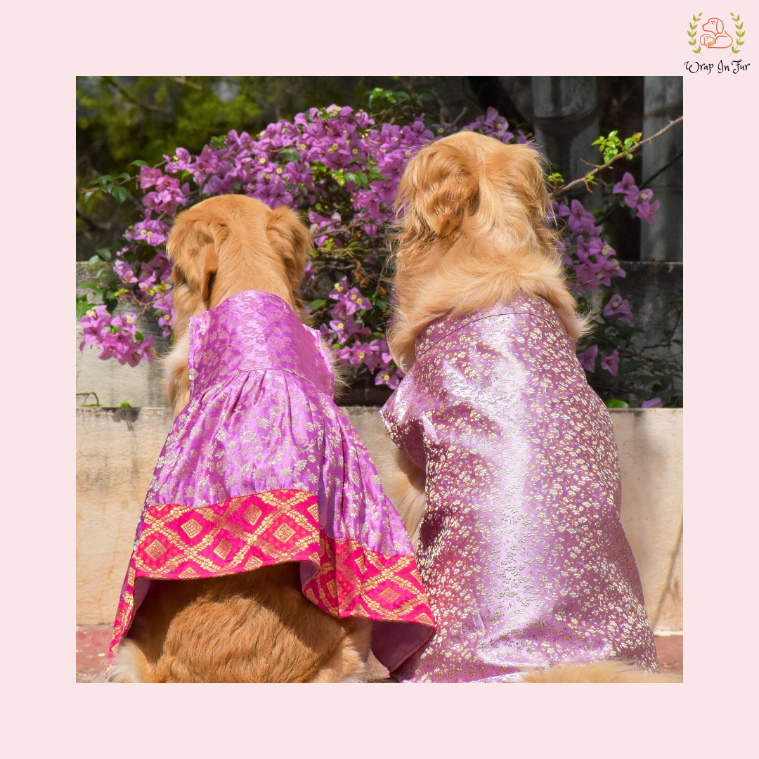 Purple Pink Dog Wedding Dress – Royal Bridal Outfit for Dogs