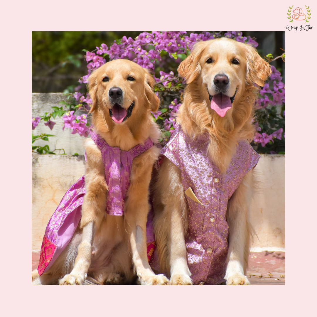 Purple Pink Dog Wedding Dress – Royal Bridal Outfit for Dogs