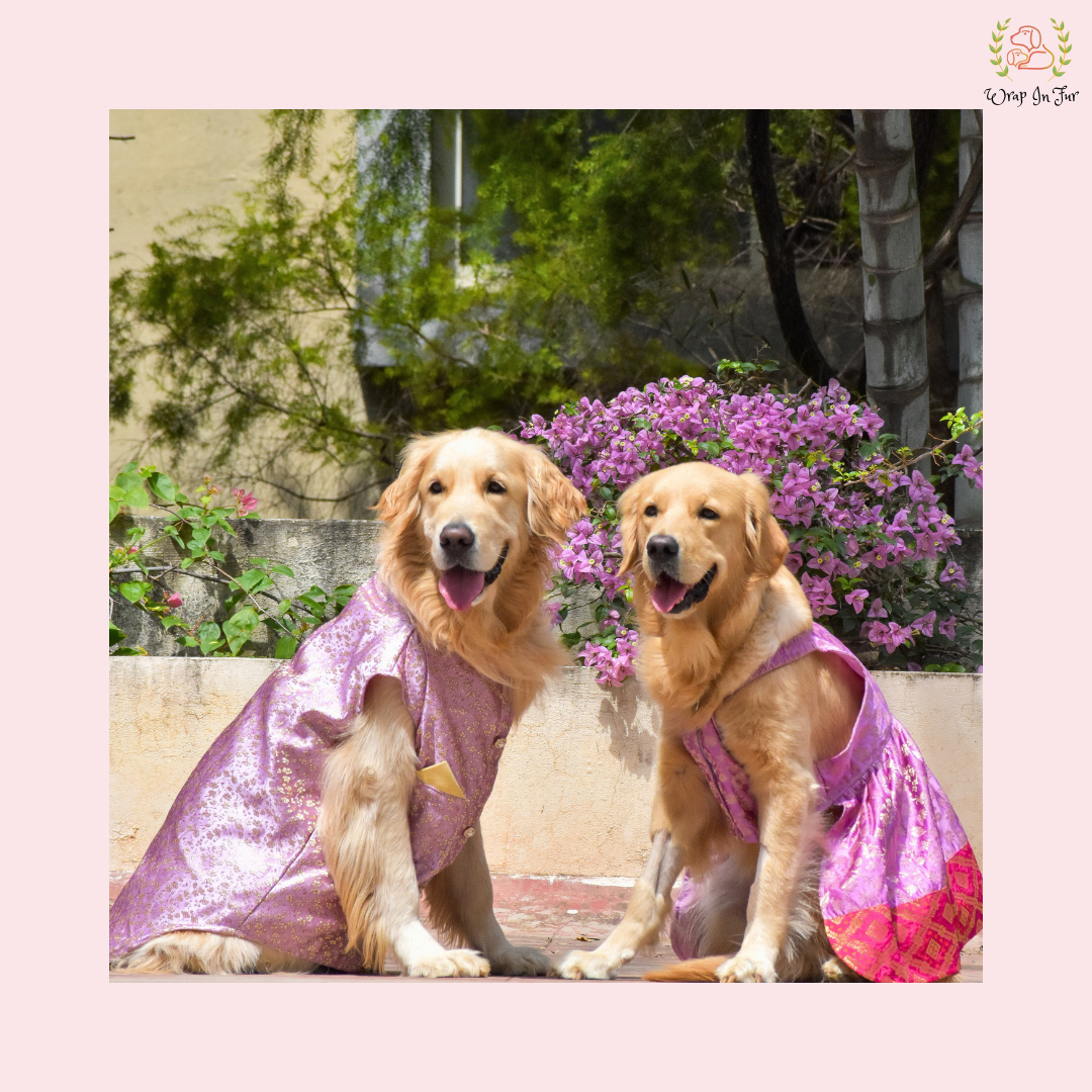 Purple Pink Dog Wedding Dress – Royal Bridal Outfit for Dogs