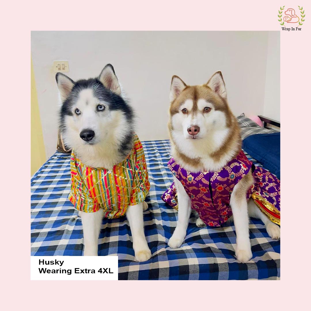 Purple Red Brocade Dog Frock – Wedding & Princess Dress Outfit