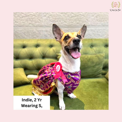 Purple Red Brocade Dog Frock – Wedding & Princess Dress Outfit