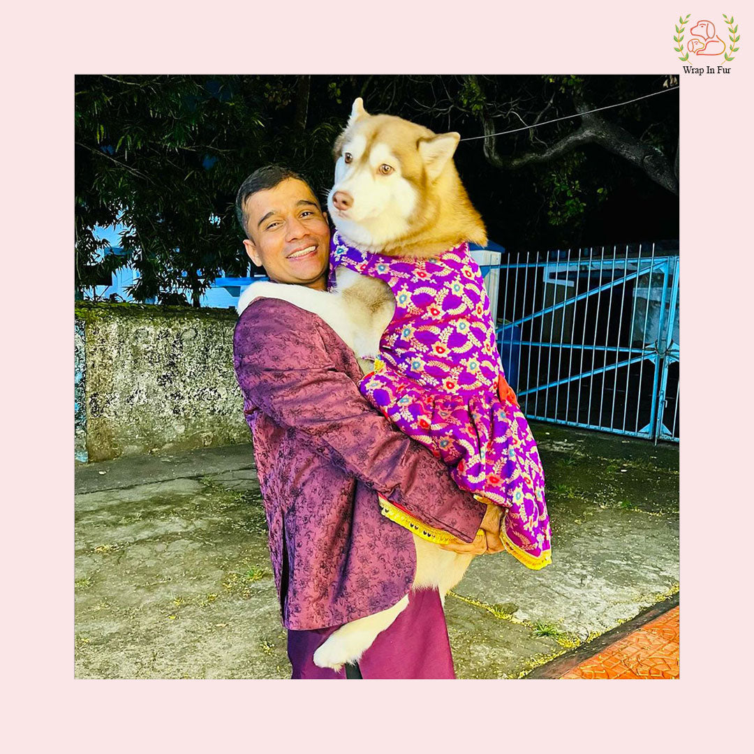 Purple Red Brocade Dog Frock – Wedding & Princess Dress Outfit