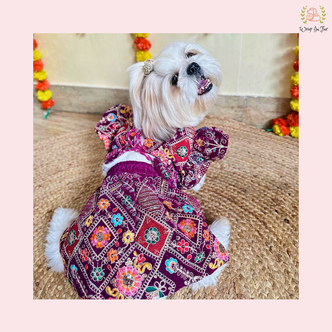 Purple Velvet Dog Bridal Dress – Designer Dog Wedding Outfit