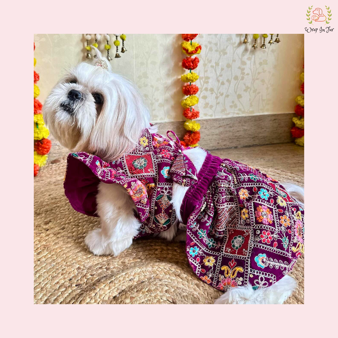 Purple Velvet Dog Bridal Dress – Designer Dog Wedding Outfit