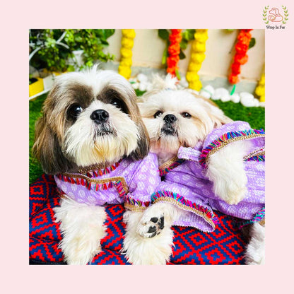 Purple & White Block Print Dog Angarkha Kurta - Indian Dog Ethnic Wear