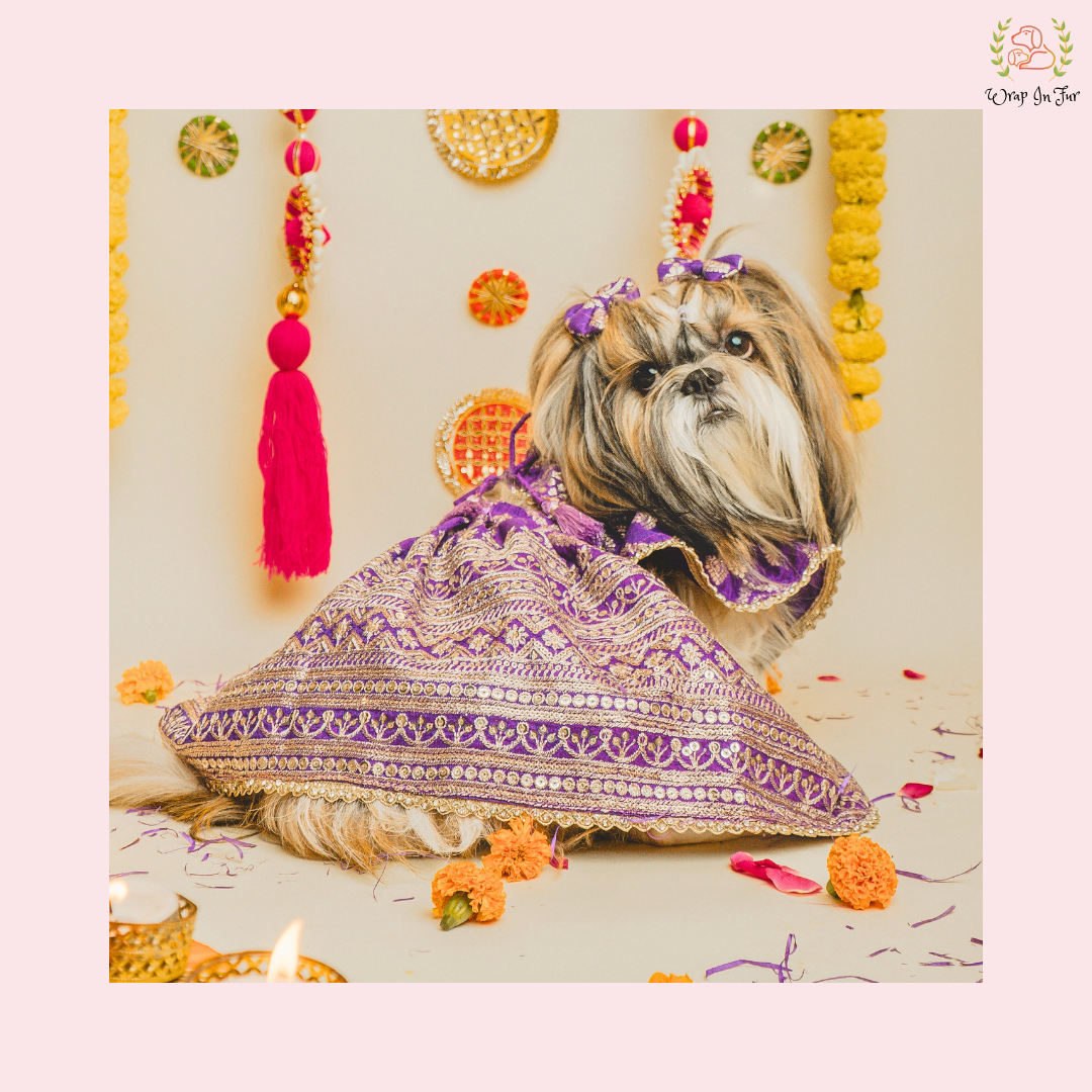 purple dog lehenga