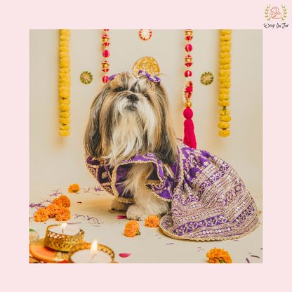 lehenga for dogs