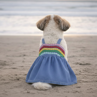 Rainbow Lace Denim Dog Dress