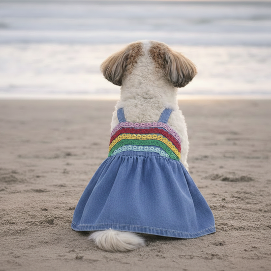 Rainbow Lace Denim Dog Dress
