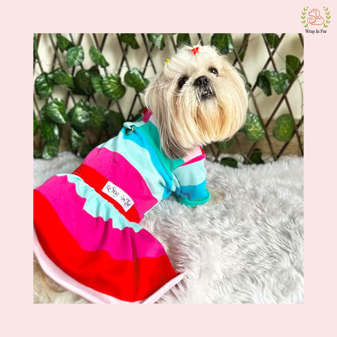 Rainbow Winter frock for dog