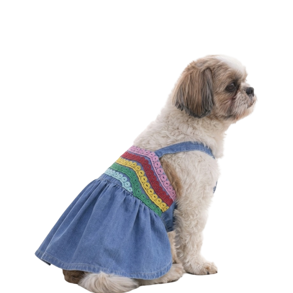 Rainbow Lace Denim Dog Dress