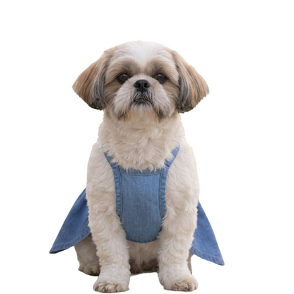 Rainbow Lace Denim Dog Dress