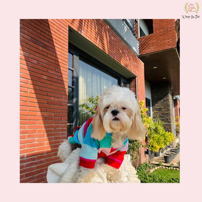 Rainbow Striped Dog Hoodie – Colorful & Cozy Winter Wear