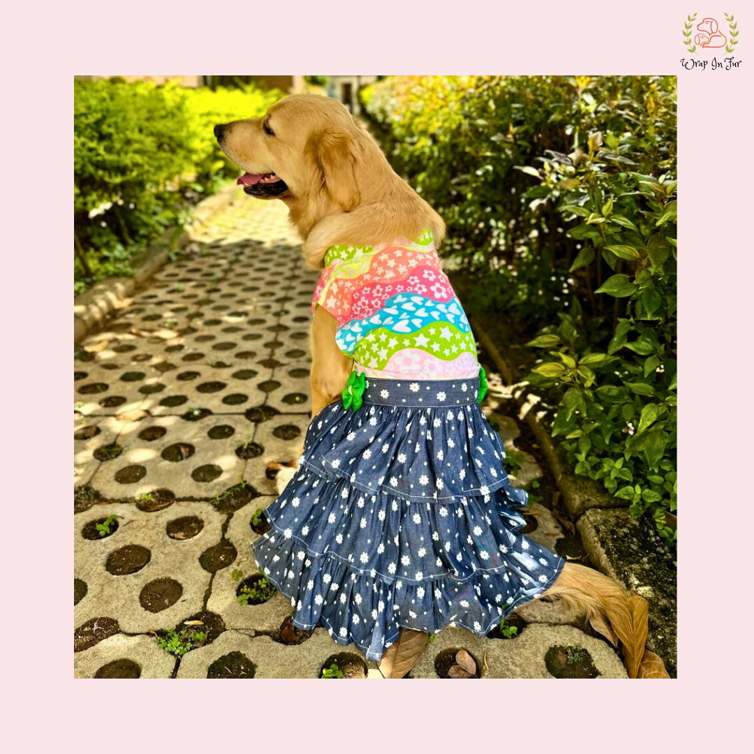 Rainbow Top Tiered Dog Princess Dress - Casual Summer Party Frock