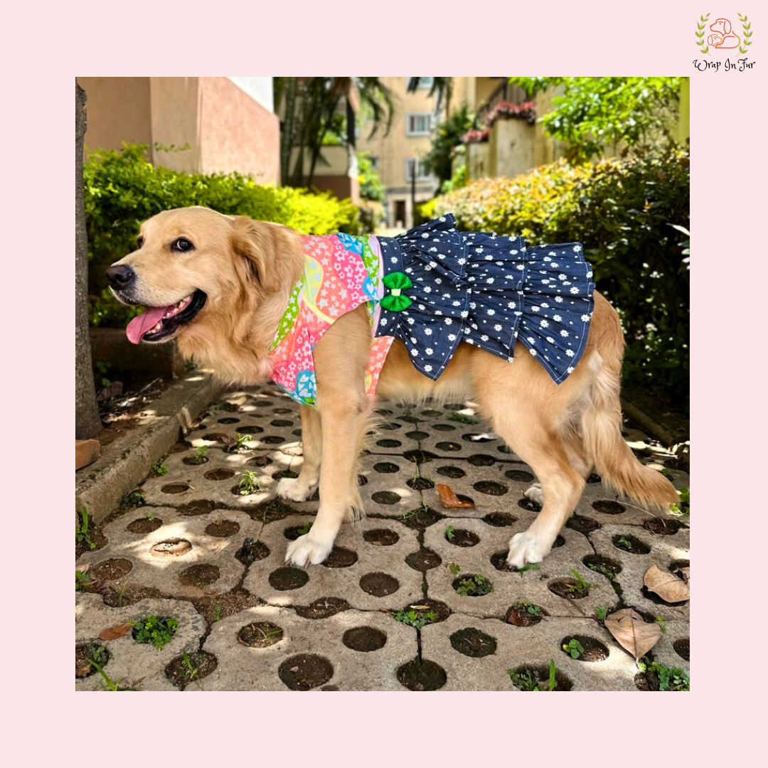 Rainbow Top Tiered Dog Princess Dress - Casual Summer Party Frock