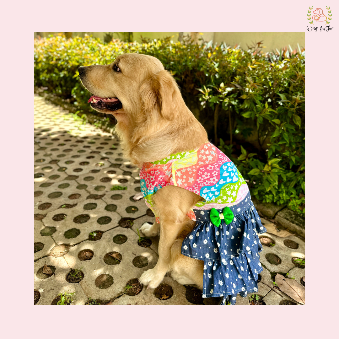 Rainbow Top Tiered Dog Princess Dress - Casual Summer Party Frock