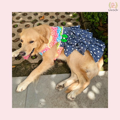 Rainbow Top Tiered Dog Princess Dress - Casual Summer Party Frock
