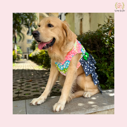 Rainbow Top Tiered Dog Princess Dress - Casual Summer Party Frock