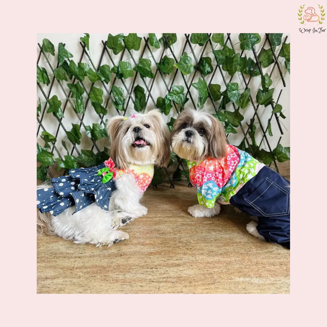 Rainbow Top Tiered Dog Princess Dress - Casual Summer Party Frock